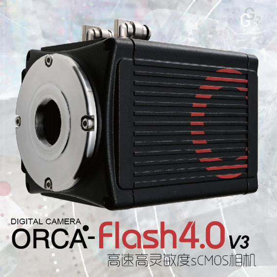 sCMOS相機 ORCA-Flash 4.0 V3